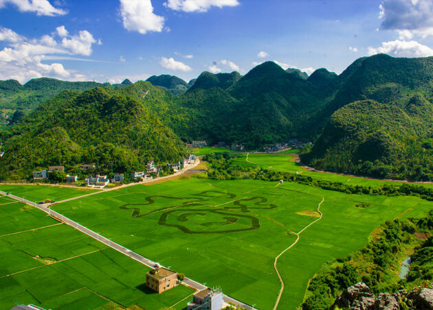 Wanfenglin Scenic Area