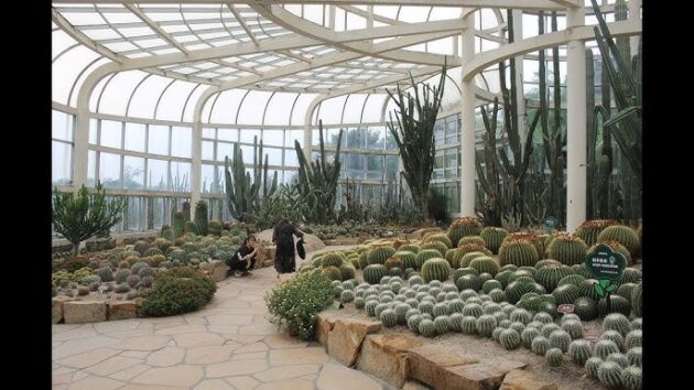 Wanshi Botanical Garden
