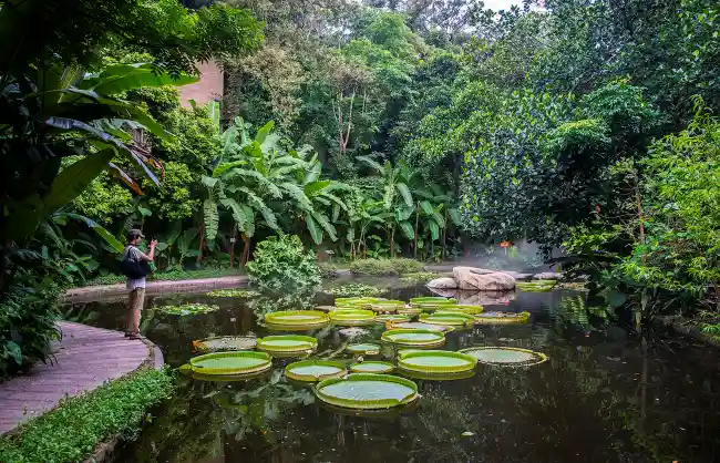 Wanshi Botanical Garden