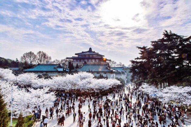 Wuhan University