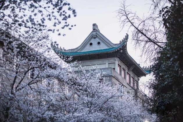 Wuhan University