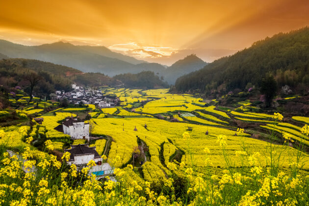 Wuyuan Jiangling