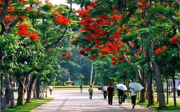 Xiamen University