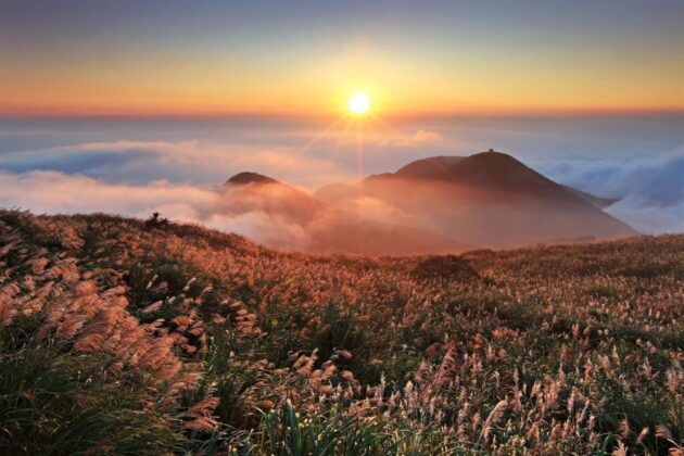 Yangmingshan National Park (阳明山国家公园)