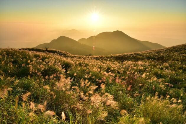 Yangmingshan National Park