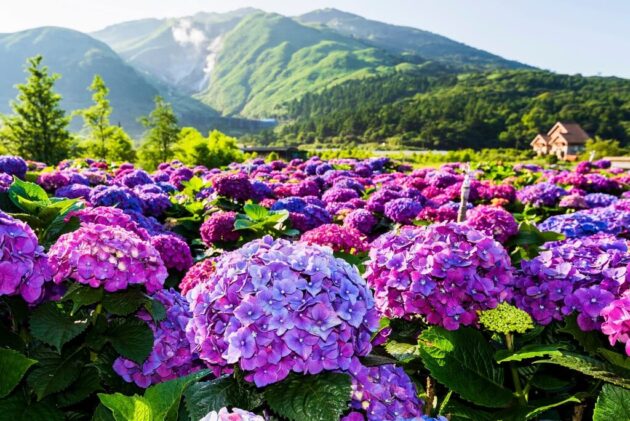 Yangmingshan National Park