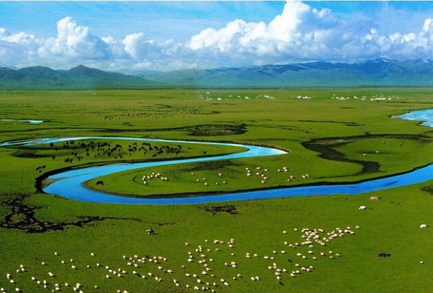 Zoige Grassland