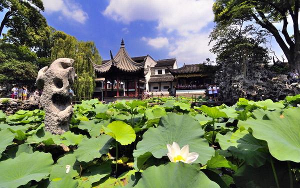 Lion Grove Garden