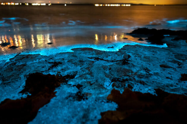 Bahía Bioluminiscente