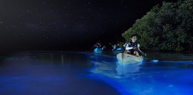 Bahía Bioluminiscente