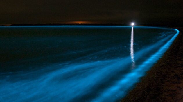 Bahía Bioluminiscente