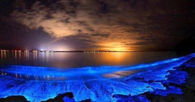 Bahía Bioluminiscente