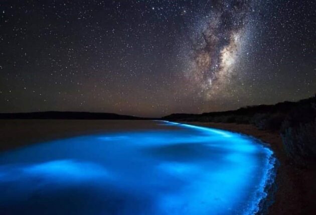 Bahía Bioluminiscente