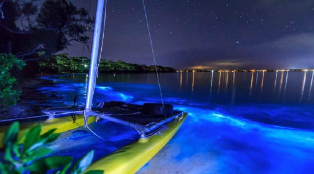 Bahía Bioluminiscente