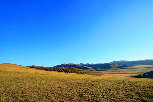 Bashang Grassland