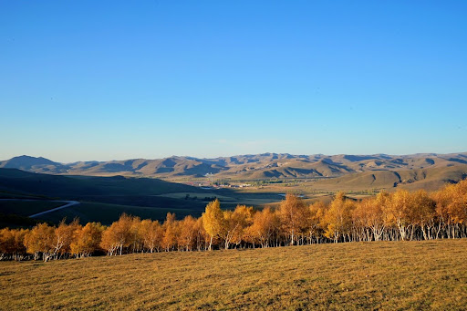 Bashang Grassland