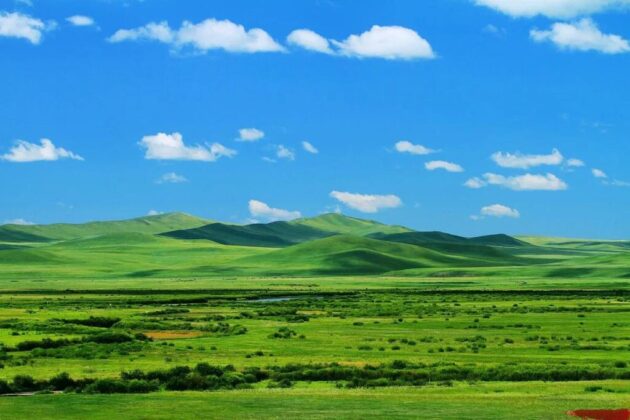 Bashang Grassland