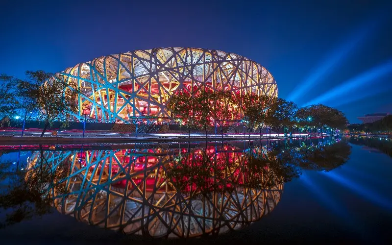Bird's Nest