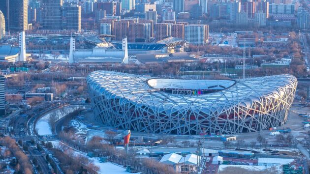 Bird's Nest