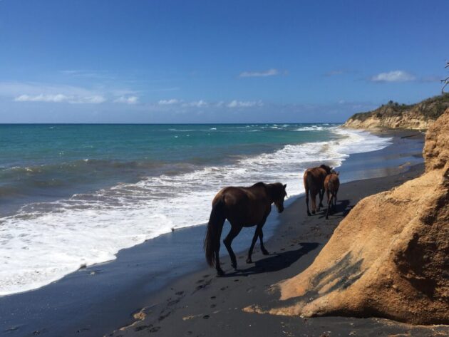 Black Sand Beach