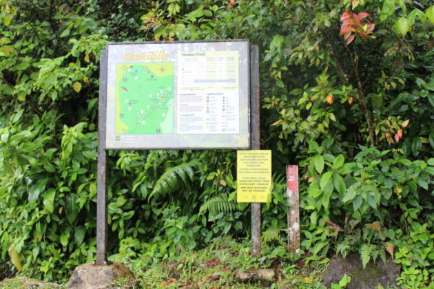 Caimitillo Trail