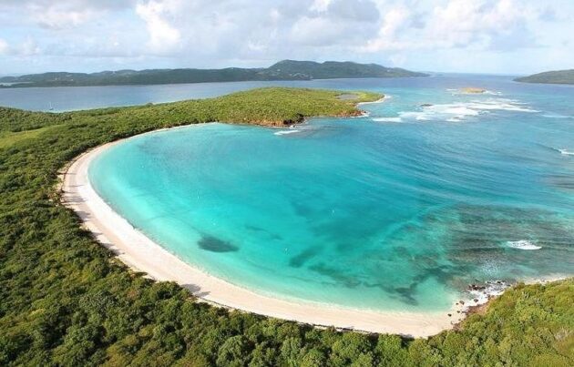 Culebrita