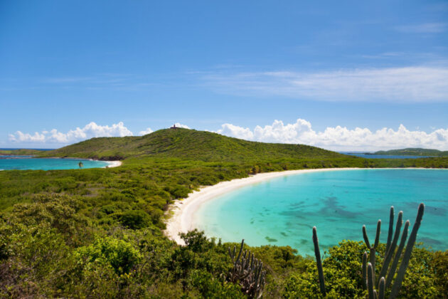 Culebrita