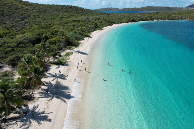 Culebrita