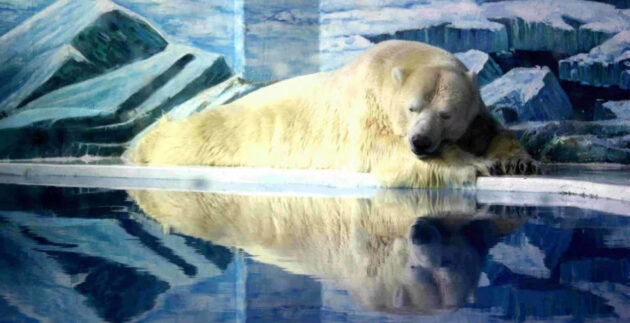 Harbin Polarland