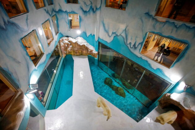 Harbin Polarland