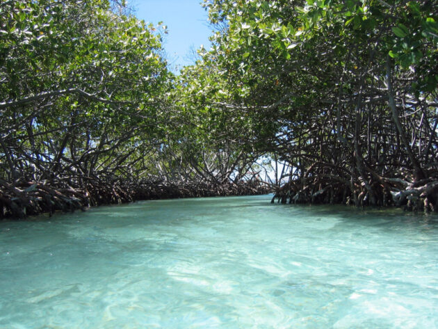 La Parguera
