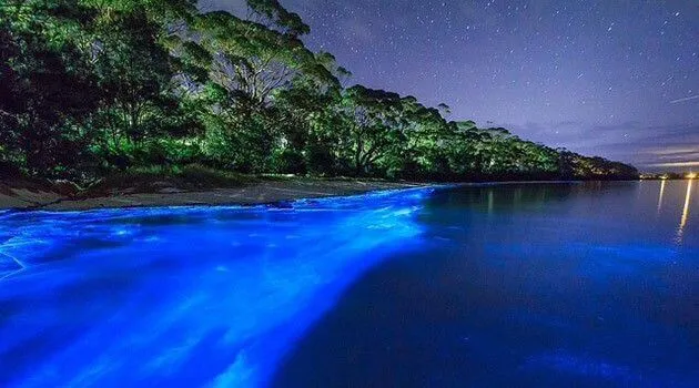 Laguna Grande