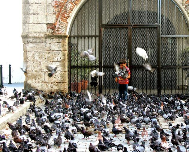 Parque de las Palomas