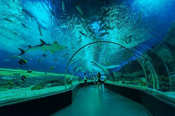 Qingdao Haichang Polar Ocean Park