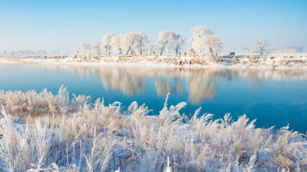 Rime Island