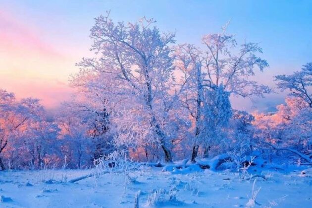 Rime Island