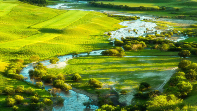 Saihanba National Forest Park