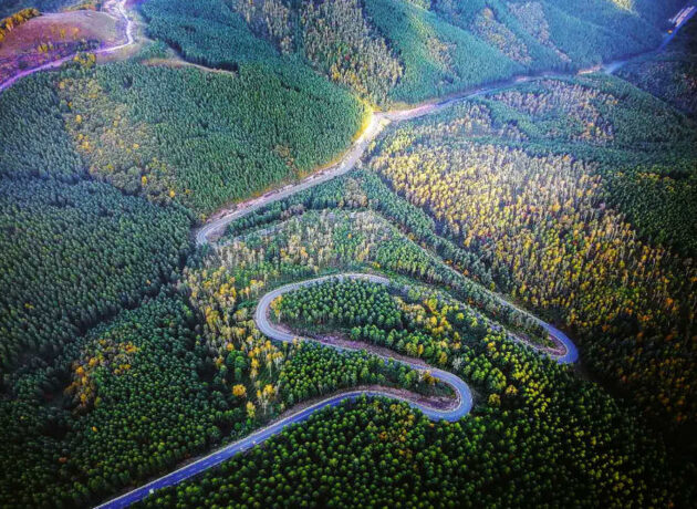 Saihanba National Forest Park