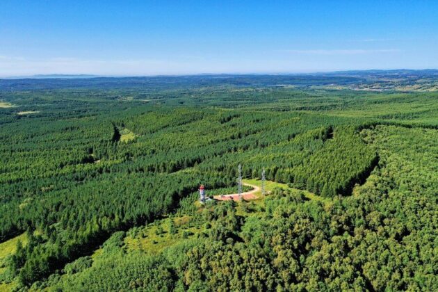 Saihanba National Forest Park