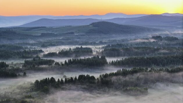 Saihanba National Forest Park