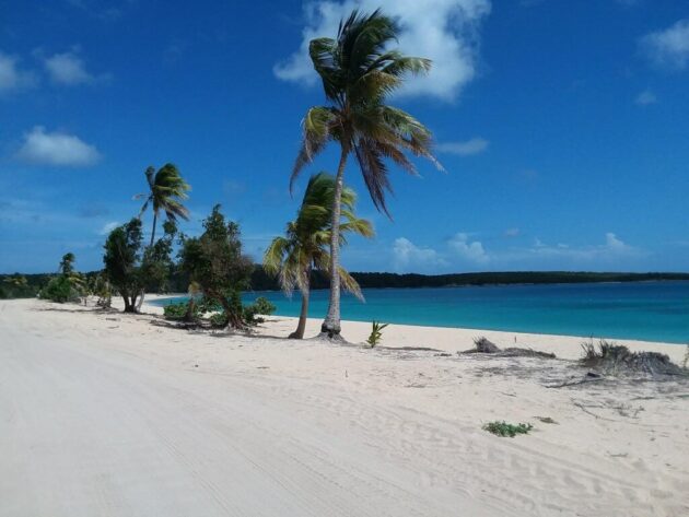 Sun Bay Beach