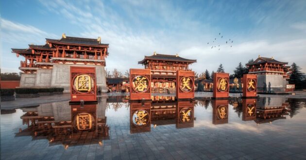 Tang Paradise