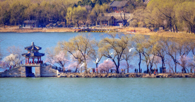 The Summer Palace