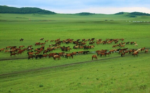 Wulan Butong Grassland