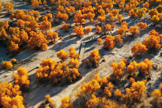Huyanglin Scenic Area
