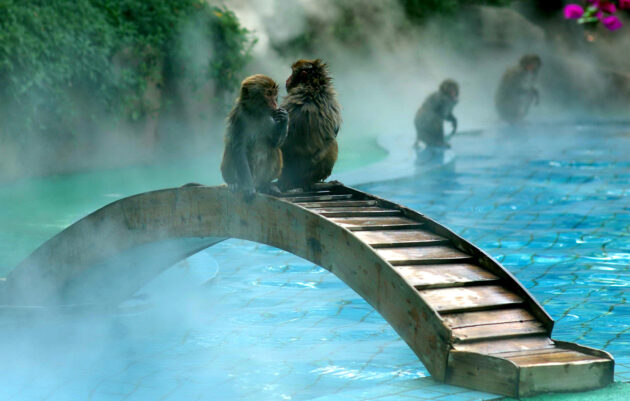 Nanwan Monkey Island