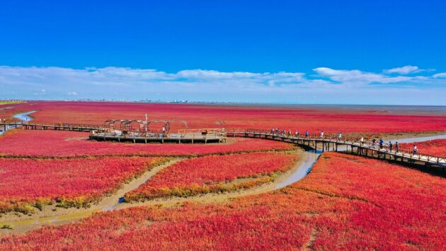 Panjin Red Beach