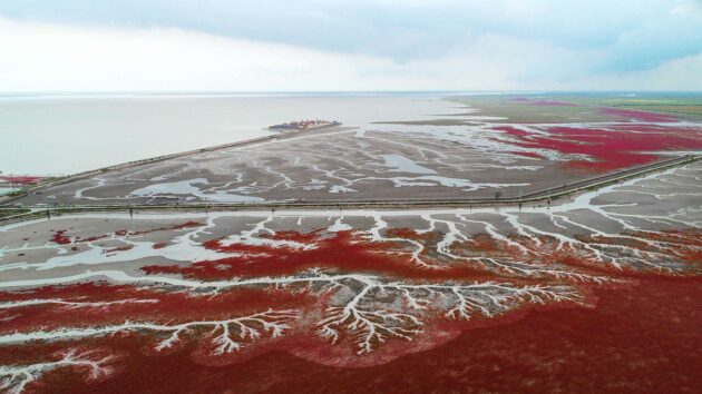Panjin Red Beach
