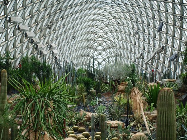 Shanghai Chenshan Botanical Garden