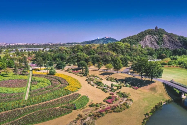 Shanghai Chenshan Botanical Garden